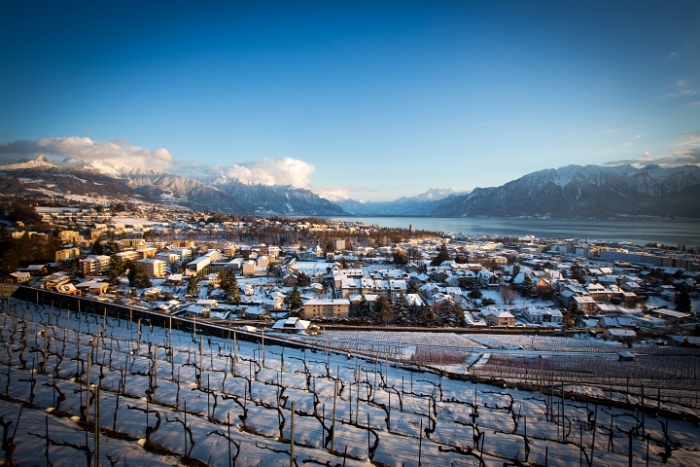 Fin de journée dans le Lavaux - 008